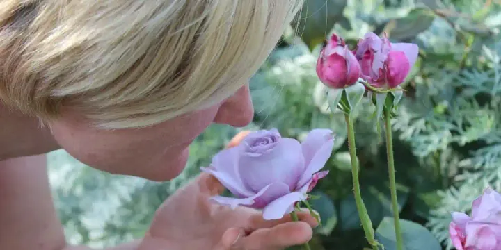 PASSAGE 11: Caring for the Five Senses